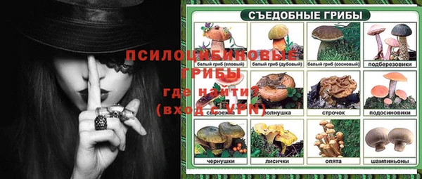 шишки Наволоки
