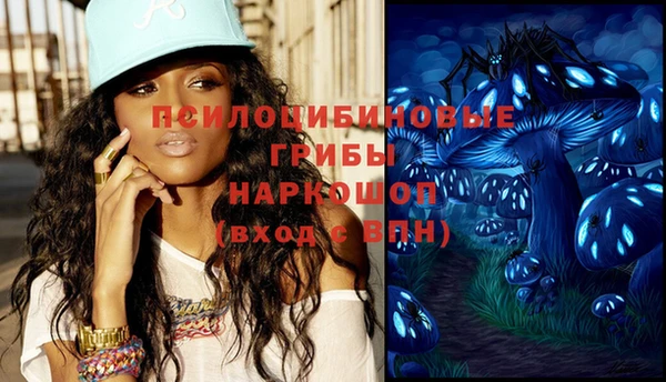 шишки Наволоки