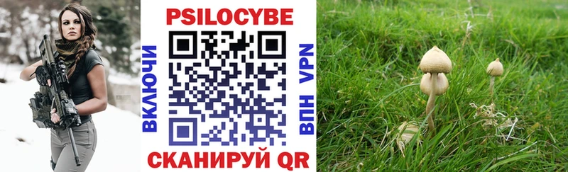 Купить закладки  Уяр  Галлюциногенные грибы прущие грибы 
